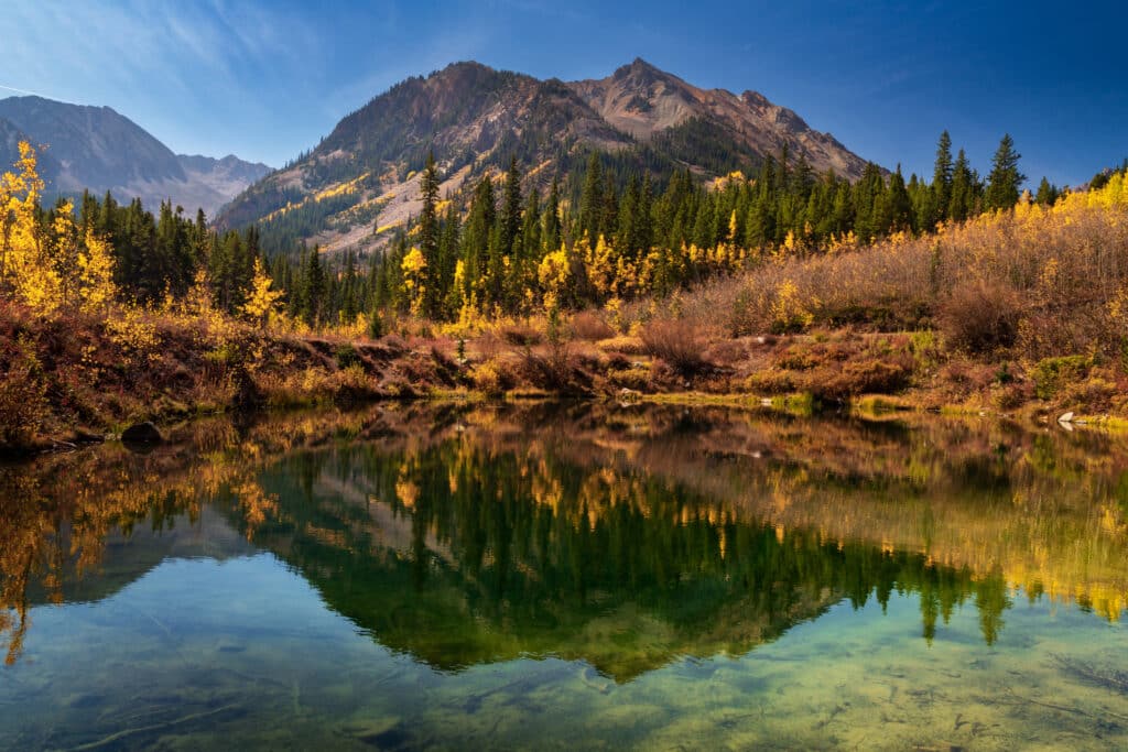 Remote Accounting Staffing in Colorado