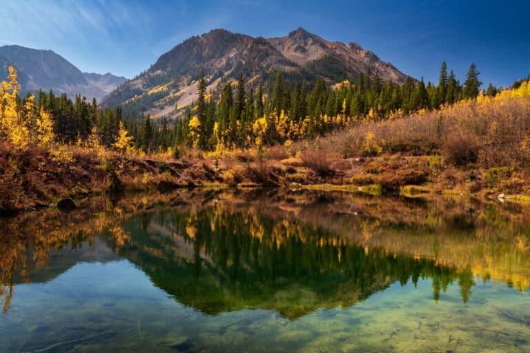 Remote Accounting Staffing in Colorado